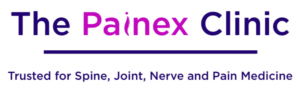 Painex Logo Image Jan 4 2025